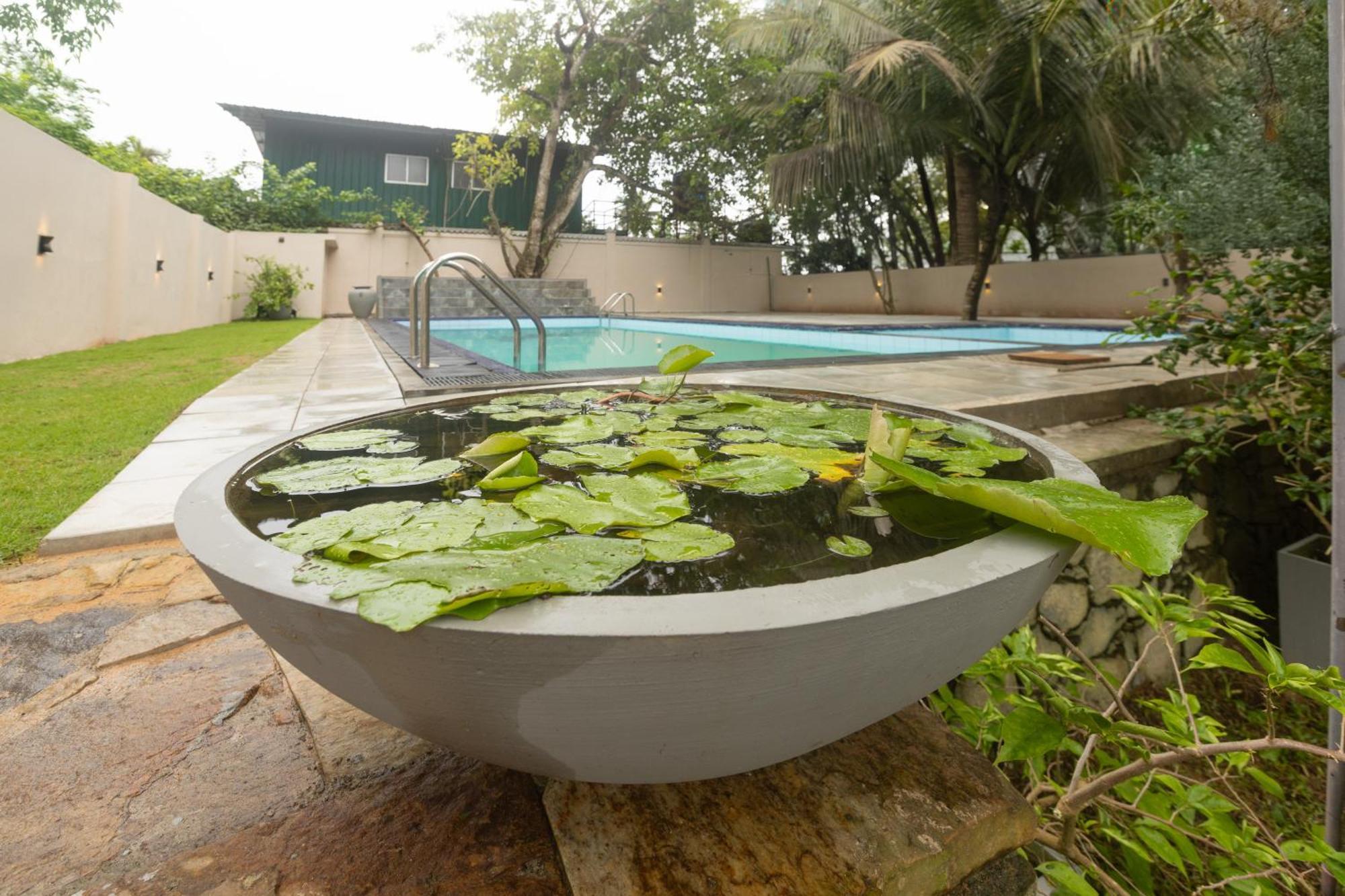 Villa Serenita Weligama Exterior photo